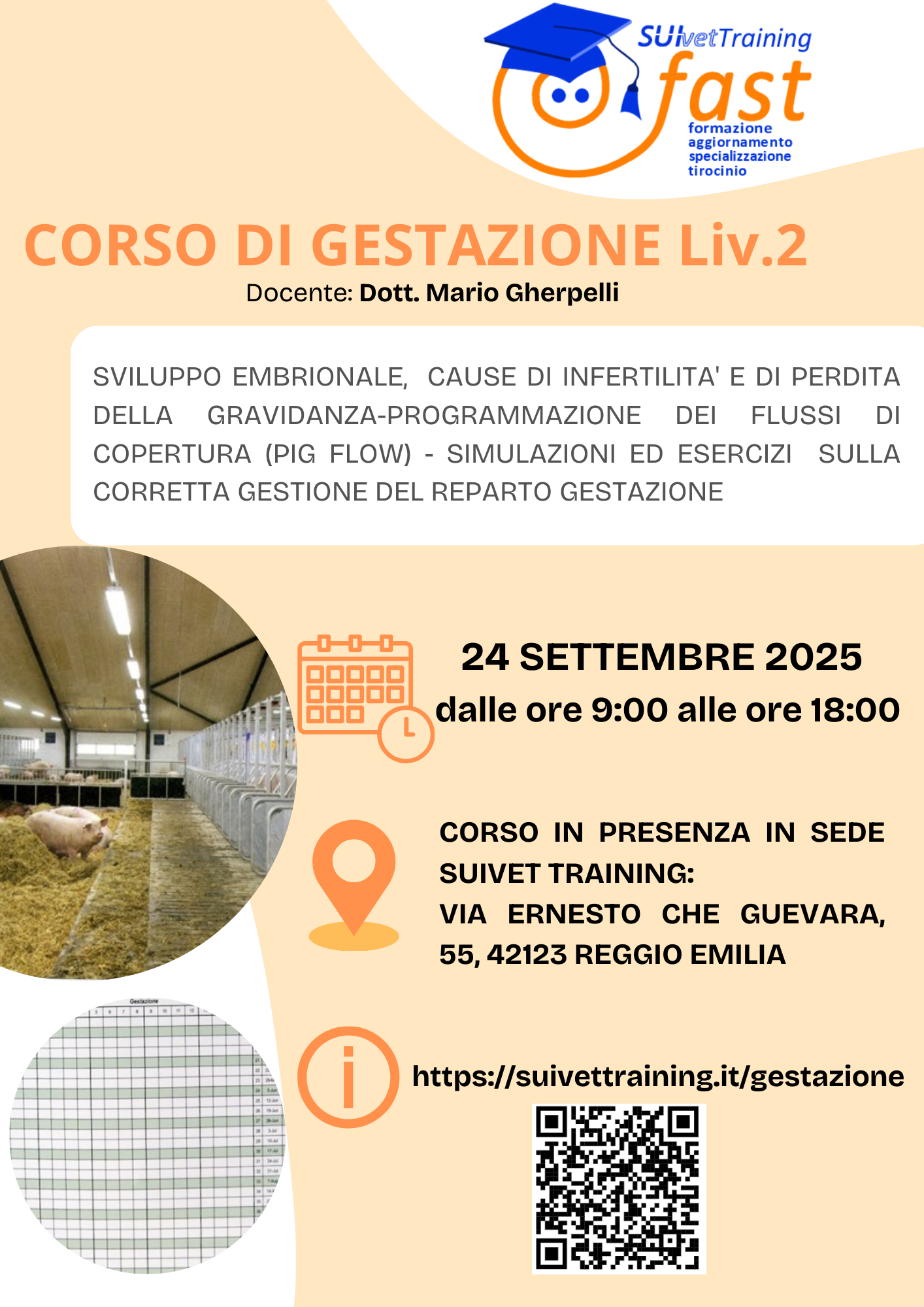 Gestazione Liv. 2